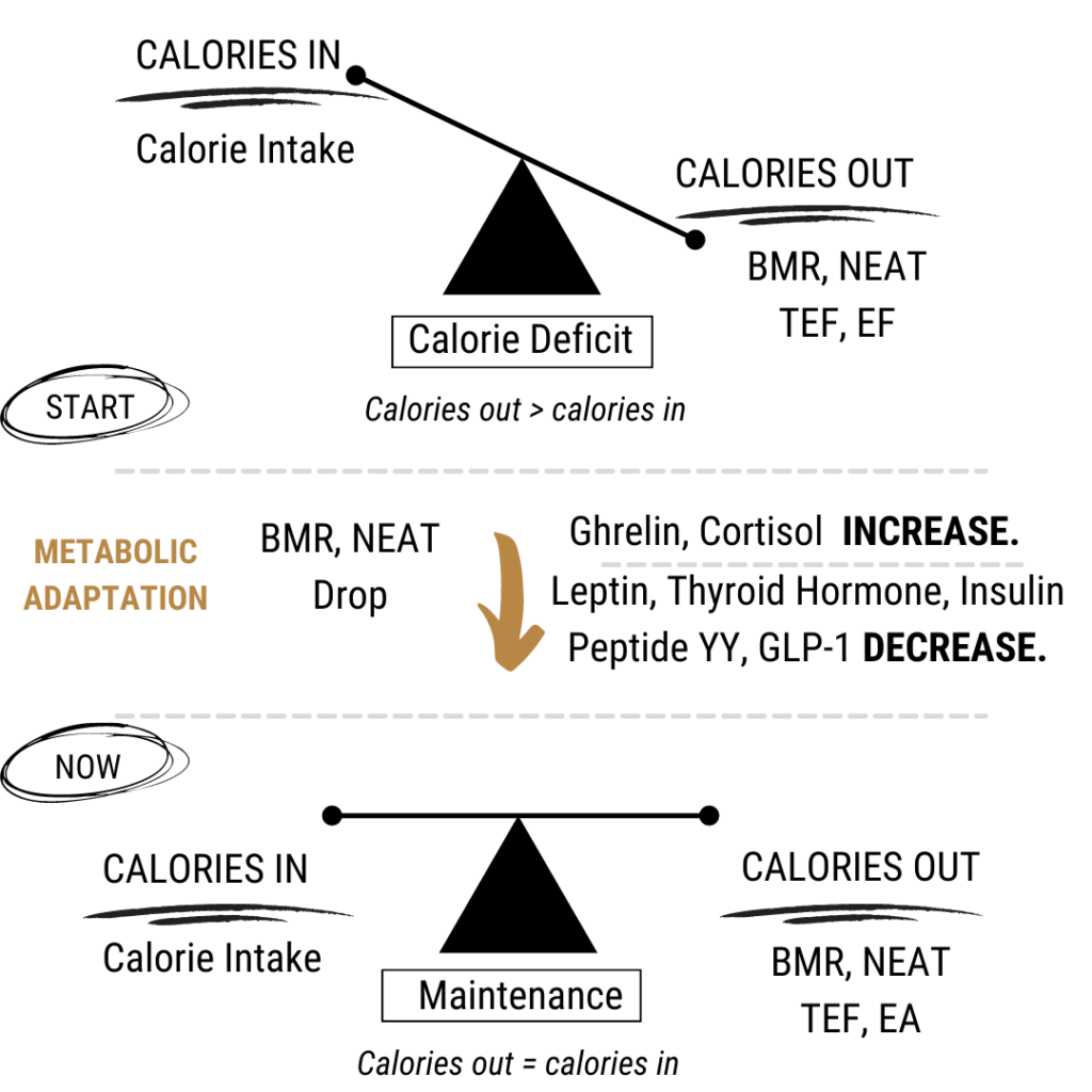 Calorie deficit